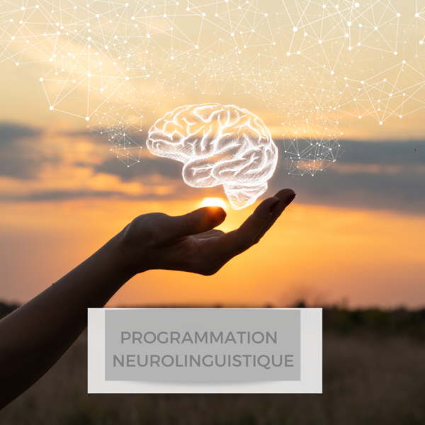 Programmation-neurolinguistique